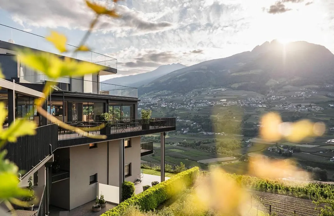 Vinea - Suites-1